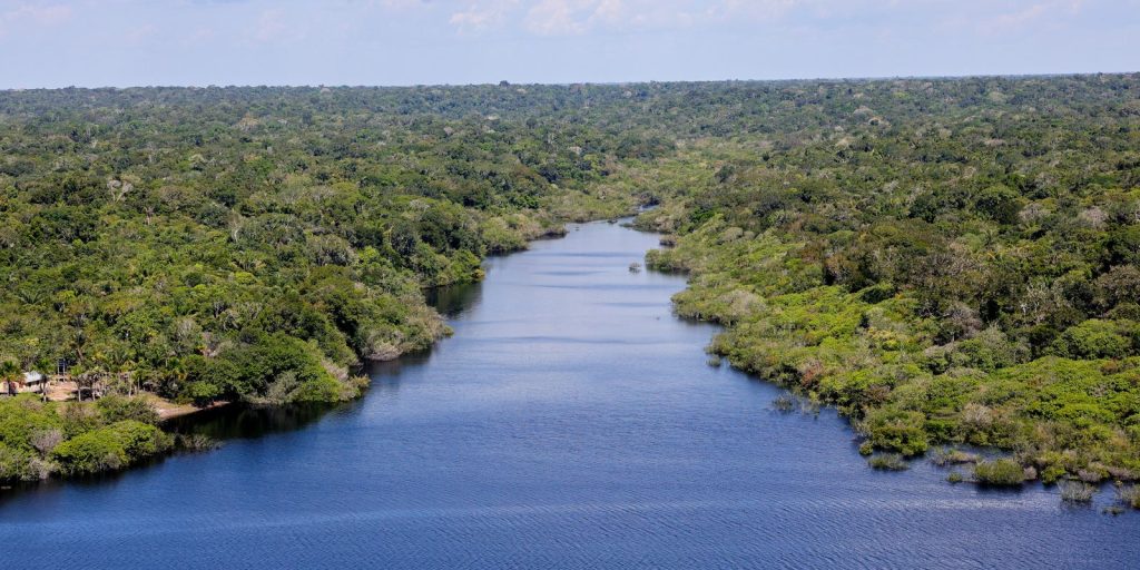 fundo-amazonia-financia-reflorestamento-em-terras-indigenas