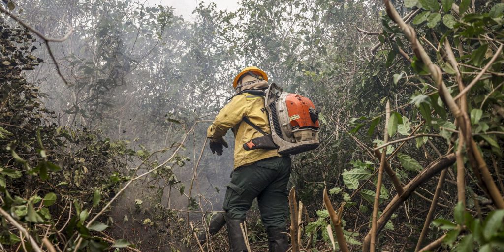 ibama-inicia-operacao-de-prevencao-e-combate-a-queimadas-no-pantanal