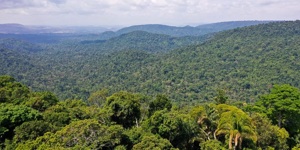 instituto-lanca-edital-para-projetos-que-protejam-a-amazonia