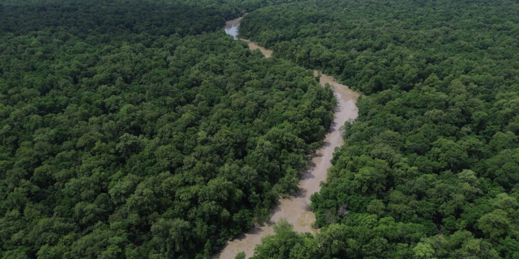 consorcio-da-amazonia-legal-debate-politicas-publicas