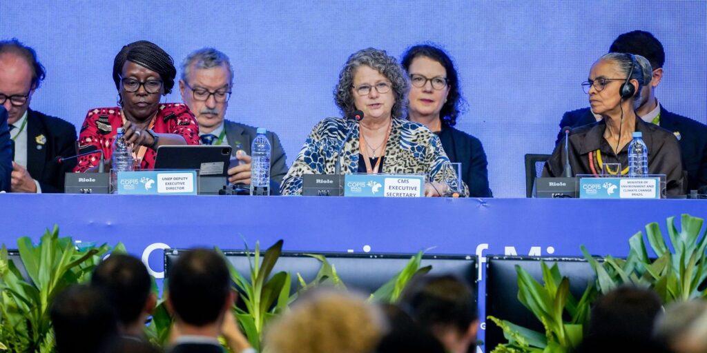 campo-grande-sedia-conferencia-da-onu-sobre-especies-migratorias