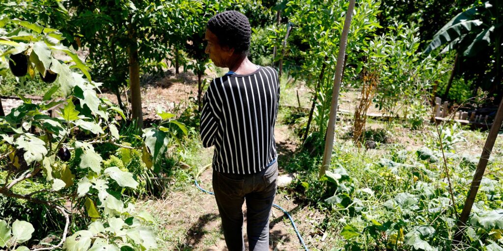 horta-comunitaria-reune-memoria,-cuidado-e-cidadania-em-favela-do-rio