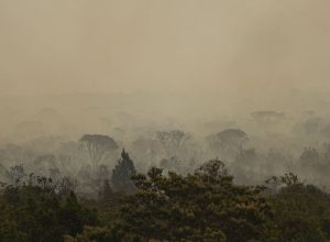 ibama-conta-4,6-mil-brigadistas-para-combater-incendios-neste-ano
