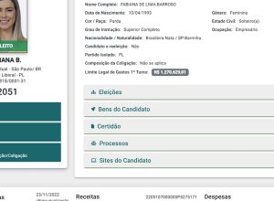 deputada-que-fez-blackface-em-sp-declarou-se-parda-a-justica-eleitoral