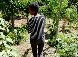 horta-comunitaria-reune-memoria,-cuidado-e-cidadania-em-favela-do-rio