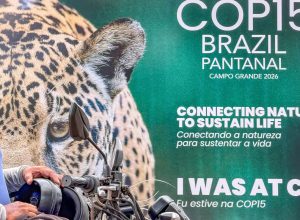 cop15-inclui-mais-40-especies-migratorias-em-lista-de-protecao