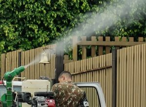 mato-grosso-do-sul-vai-receber-vacina-em-projeto-contra-chikungunya