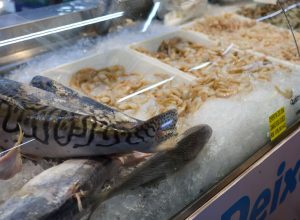 vigilancia-sanitaria-orienta-sobre-compra-de-pescado-na-semana-santa