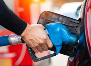 59502498-9cc8-46e7-9e99-0fbdf5706685