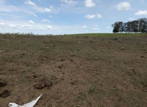 seca-persiste-em-1,9-mil-municipios-brasileiros