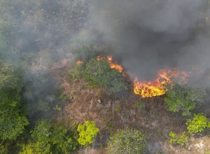 arco-da-restauracao-no-am-vai-receber-projetos-de-reparacao-ecologica