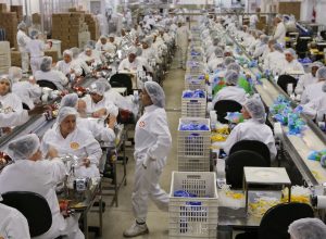 1o-de-maio:-pec-do-fim-da-escala-6×1-continua-fora-da-pauta-da-camara