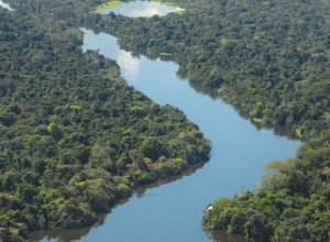 cop30:-museu-goeldi-promove-ciclo-de-debates-sobre-a-amazonia
