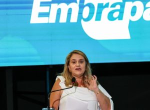 jornada-pelo-clima:-embrapa-discute-propostas-para-cop-30