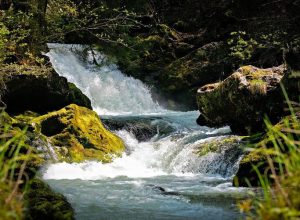 a4dab6aa-948d-4748-8d5f-d2667416dc68