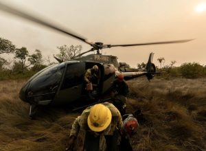 a929228d-28d7-413e-af66-96b895e56ecd