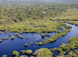 b9059326-33e5-48c1-8862-b0ff9bdbf4d7