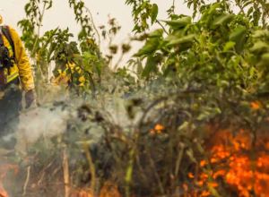 c56d8f13-8c64-486c-b956-0c67037075df